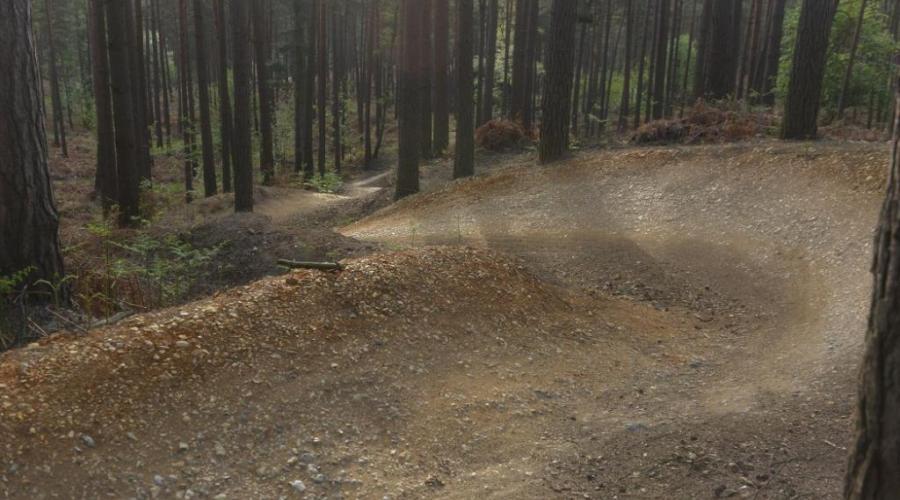 Swinley forest trail