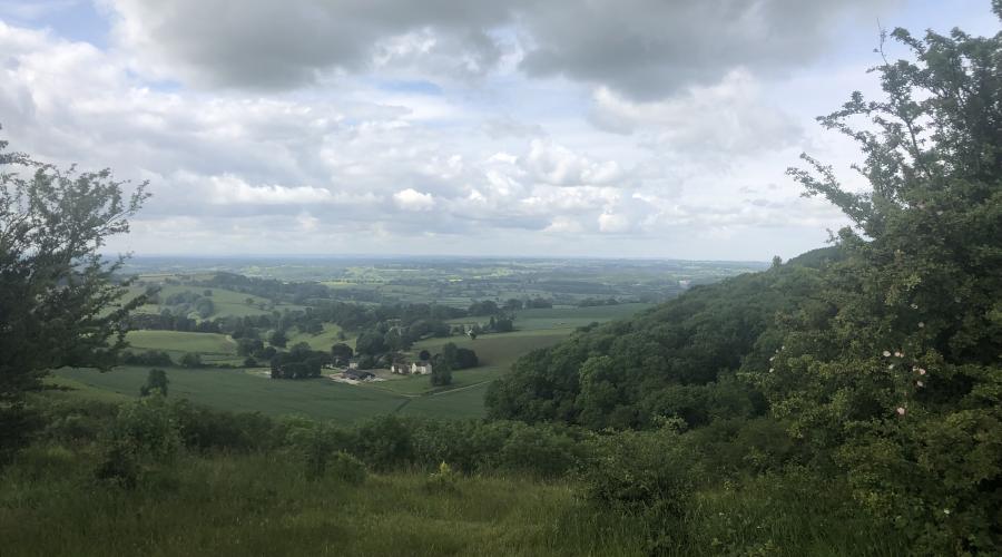View from Stinchcombe Hill
