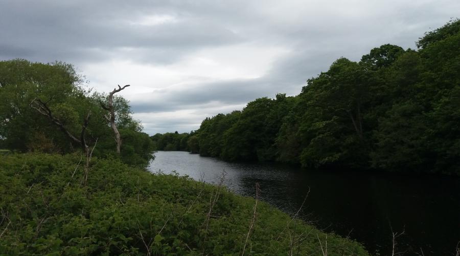 Classic view upstream to Yarm Bridge and Yarm Railway Viaduct