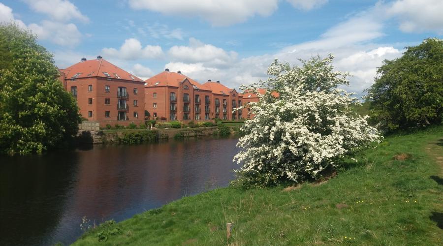 Classic view upstream to Yarm Bridge and Yarm Railway Viaduct