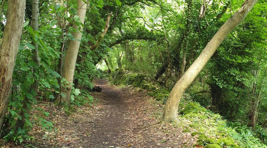 taken where the footpath runs along side the Manor Golf club in Castle Combe