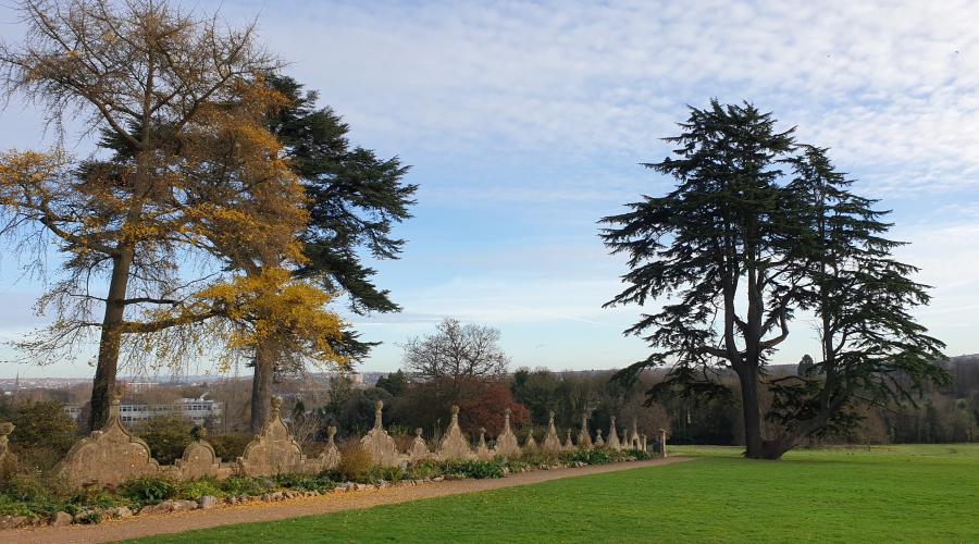 Abbots Pool