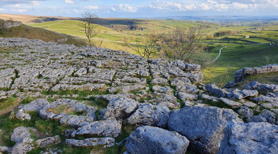 Limestone pavement view