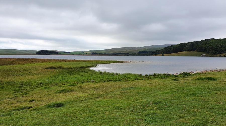 Limestone pavement view