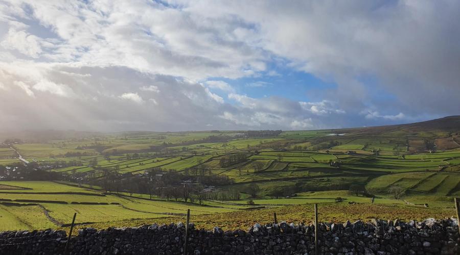 Limestone pavement view