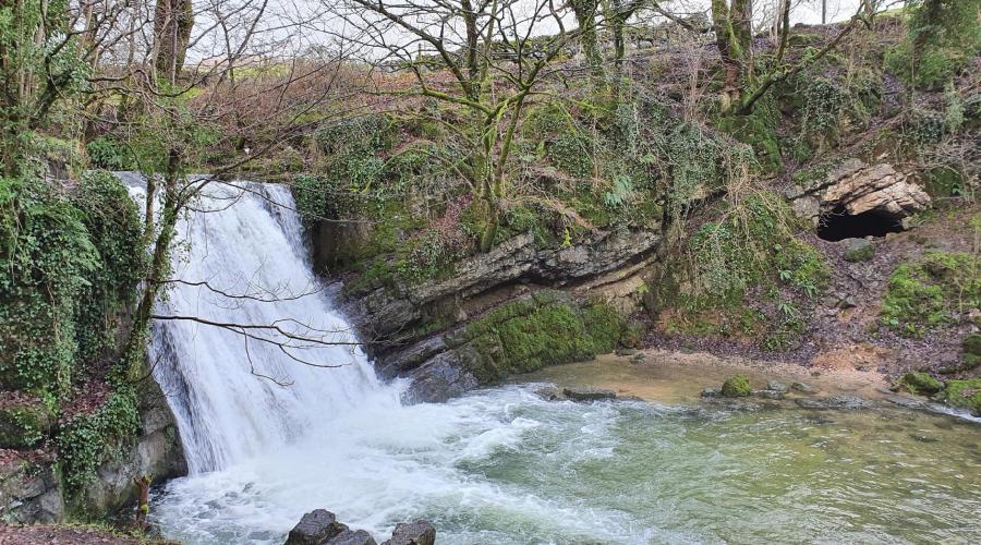 Limestone pavement view