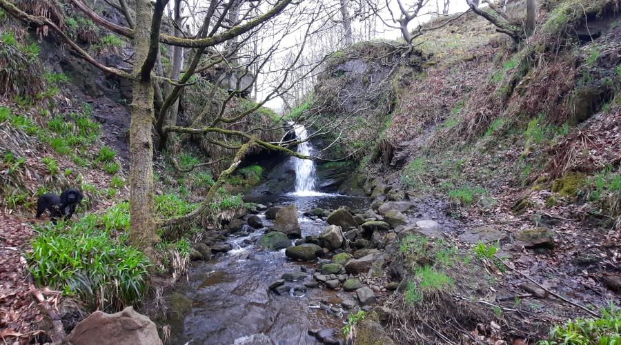 Pudsey Clough 