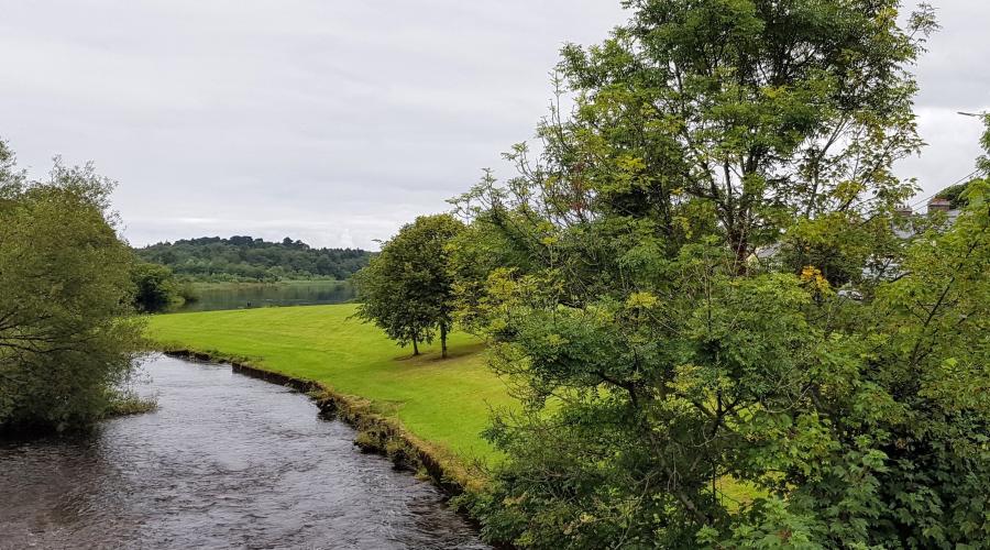 Picture of trees along the canal