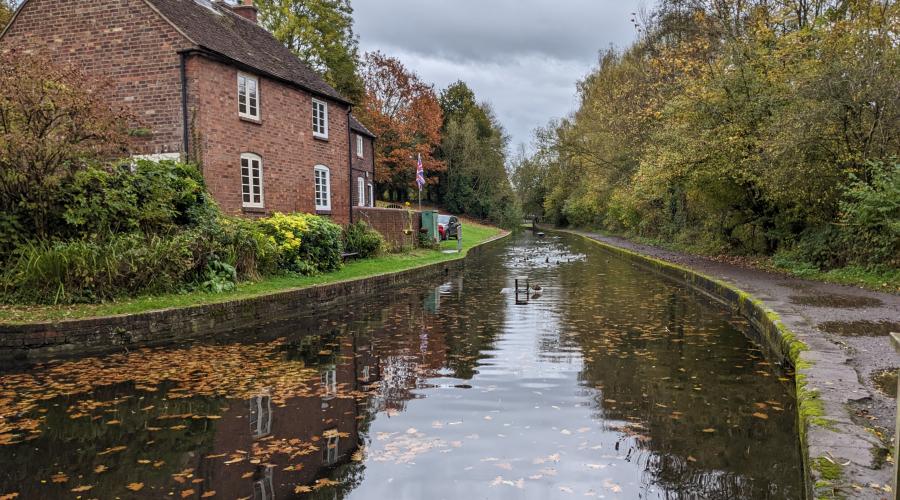 Picture of trees along the canal