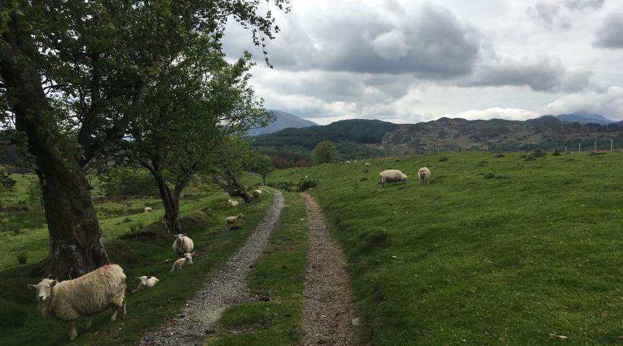 hikers in front of pub