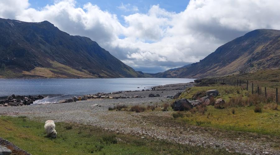 Llyn Cowlyd from High Up