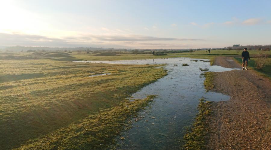 Sunrise on Greenham Common