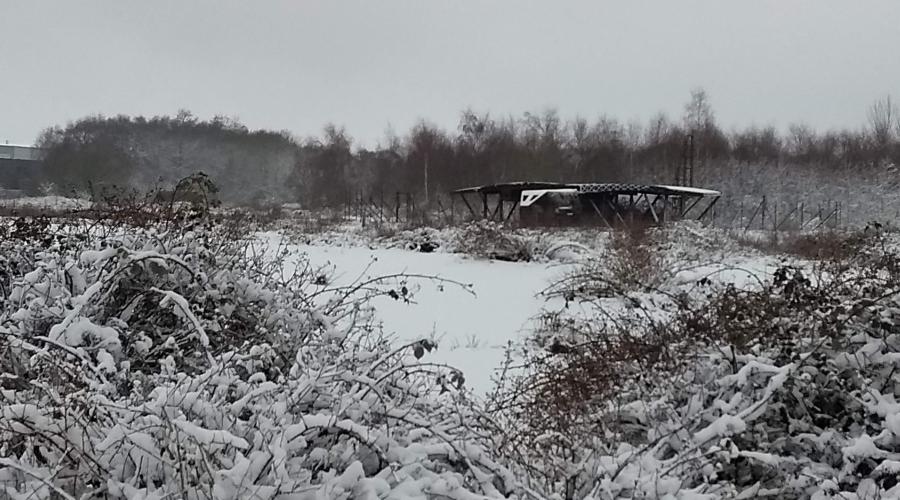 Sunrise on Greenham Common