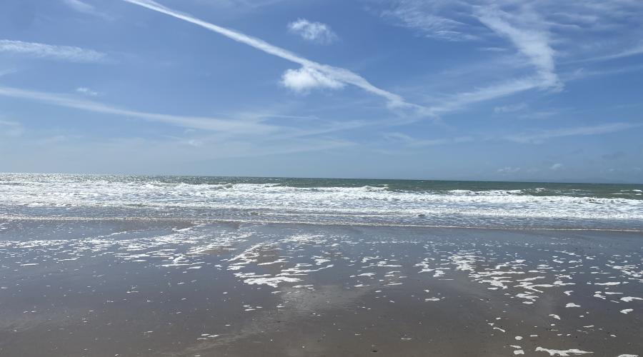 Shell Island