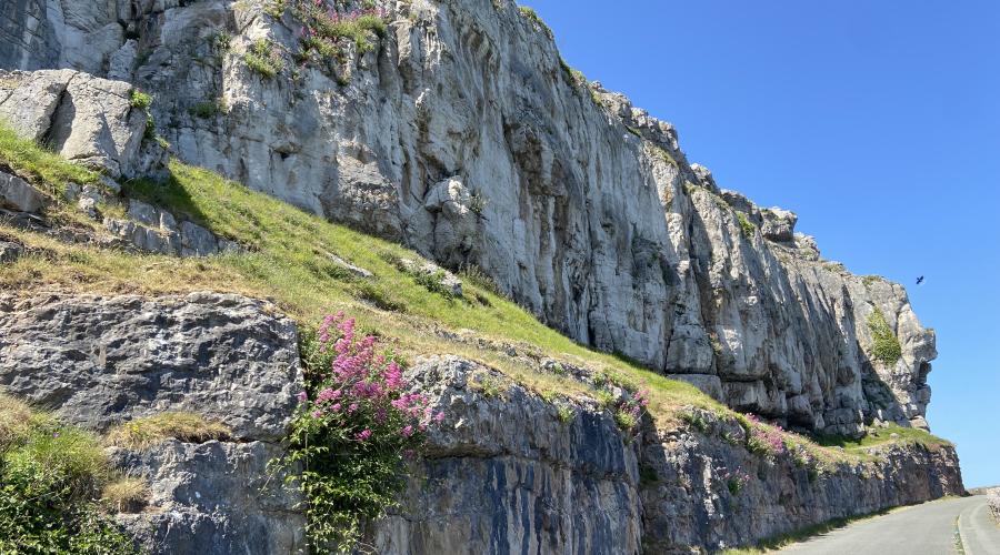 Don't be a wallflower, join us