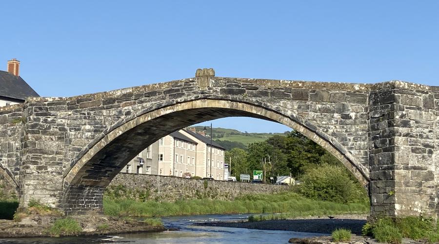 Don't be a wallflower, join us