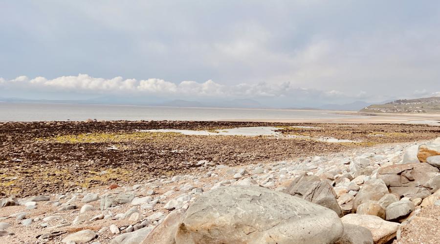 Shell Island