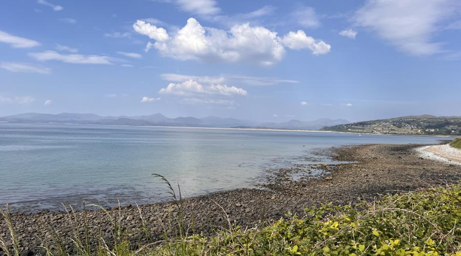 Shell Island
