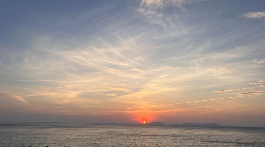 Shell Island