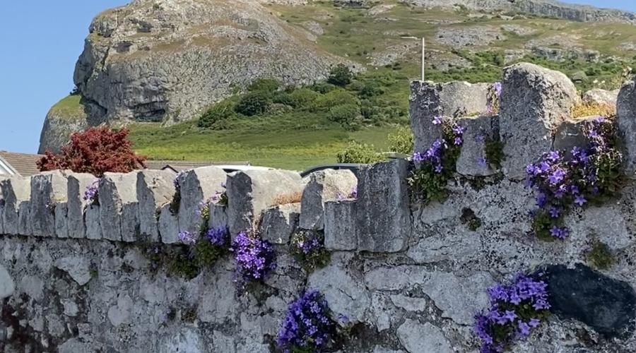 Don't be a wallflower, join us