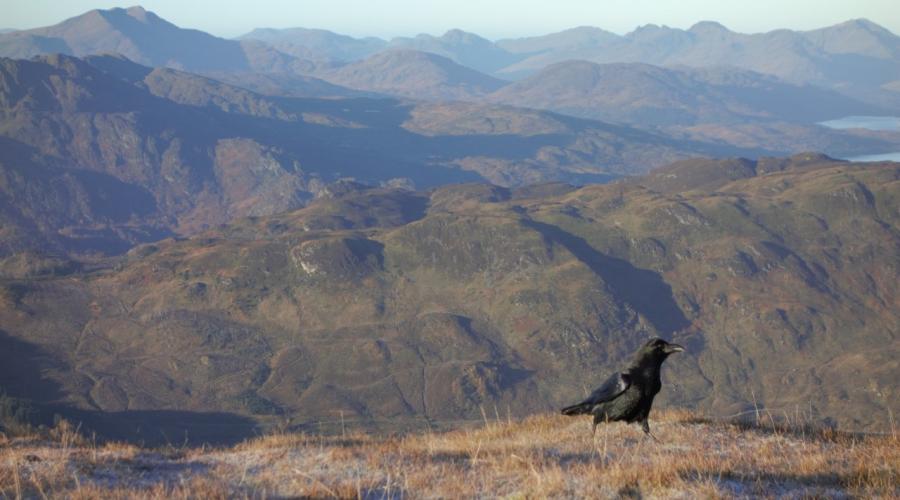 Ben Ledi summit on a fine winter morning