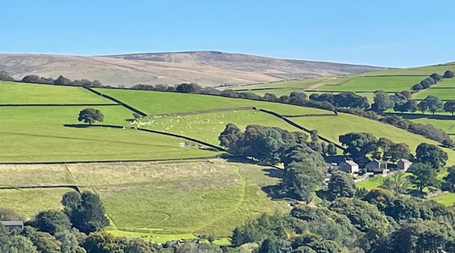 Rainow hillside