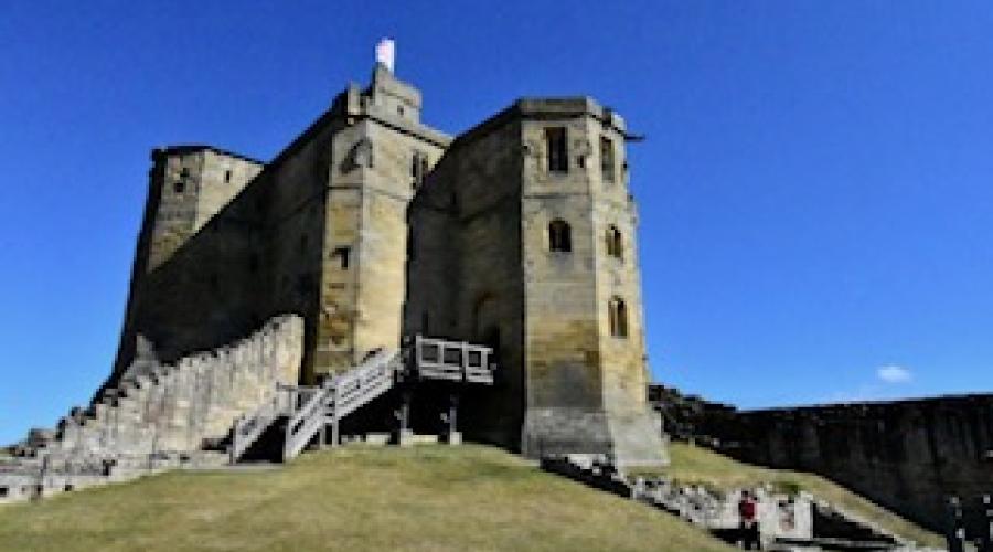 Stream running to the sea 