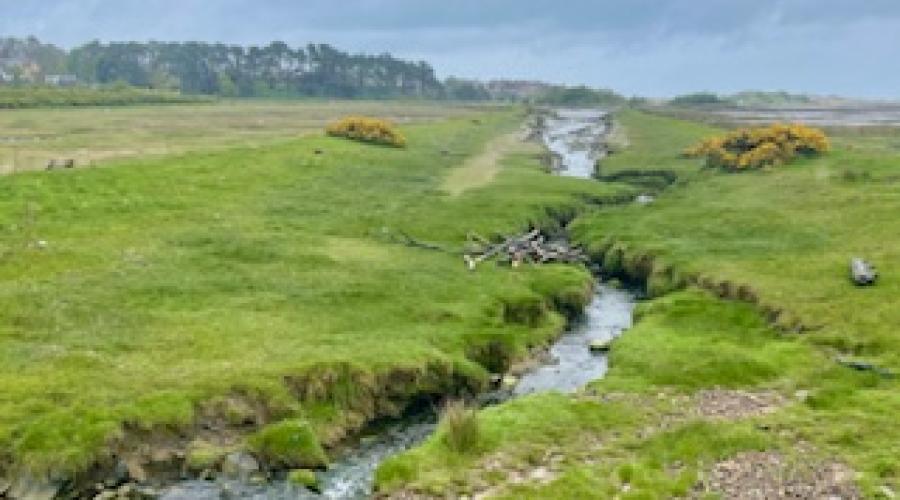 Stream running to the sea 
