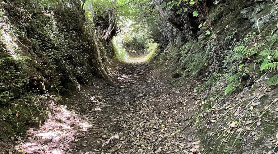 View above Llandegfedd Reservoir