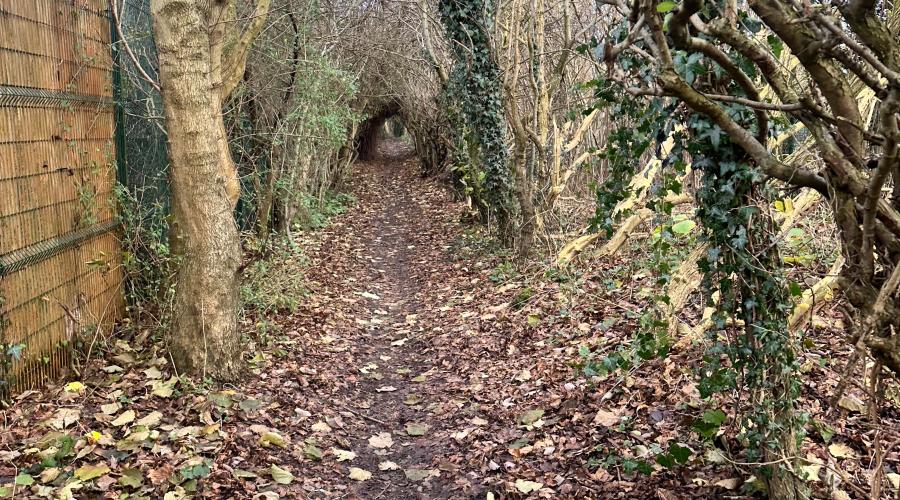 Nottingham tram path