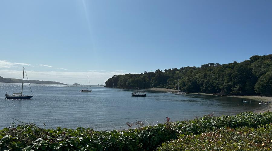 A beach near Plymouth