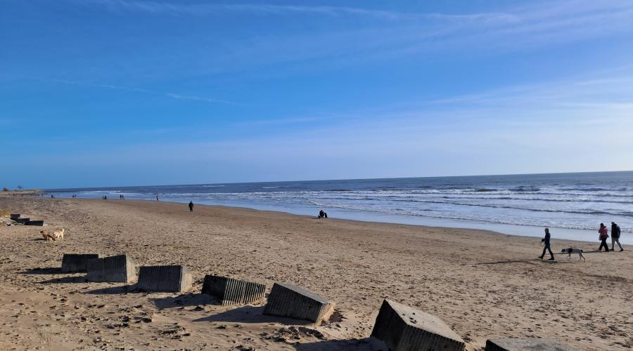 Stream running to the sea 