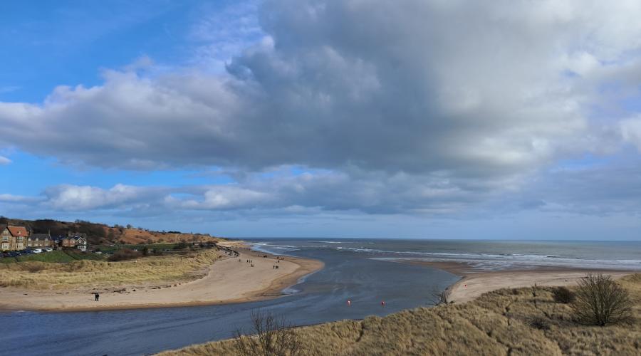 Stream running to the sea 
