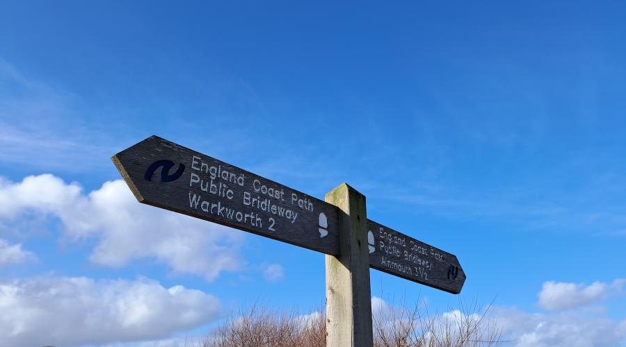 Stream running to the sea 