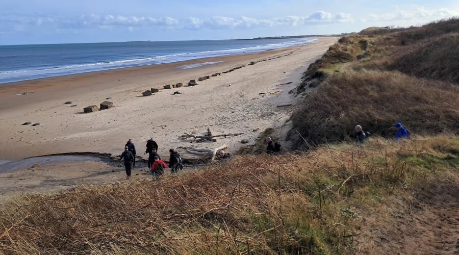 Stream running to the sea 
