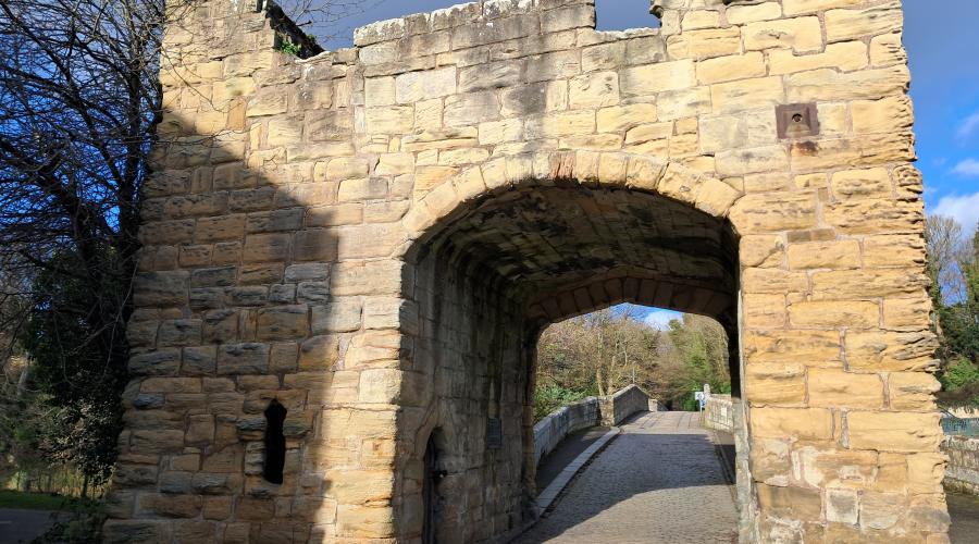 Stream running to the sea 