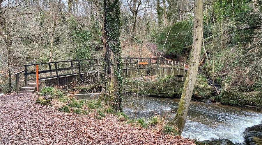 Giant's Castle bridge, Styal Woods