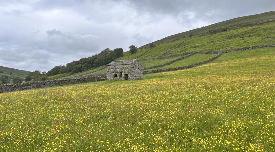 Autumn colours at wide waterfall , blue sky above