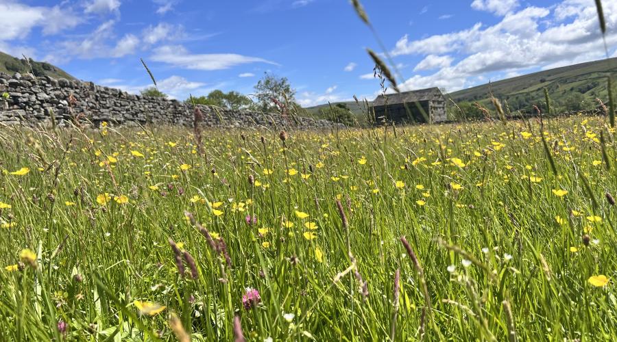 Autumn colours at wide waterfall , blue sky above
