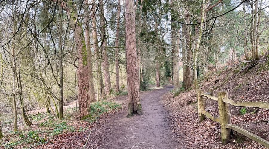 Giant's Castle bridge, Styal Woods