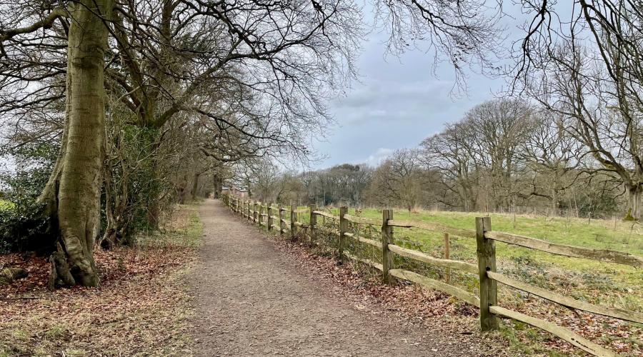 Giant's Castle bridge, Styal Woods