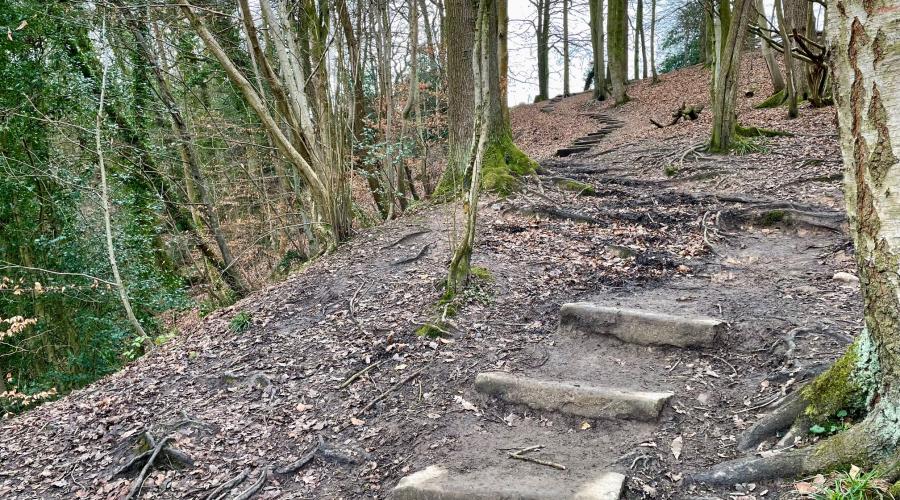 Giant's Castle bridge, Styal Woods