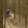 Swinley forest trail
