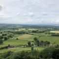 View from Stinchcombe Hill