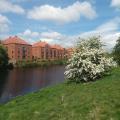 Classic view upstream to Yarm Bridge and Yarm Railway Viaduct