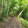 taken where the footpath runs along side the Manor Golf club in Castle Combe