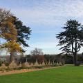 Abbots Pool