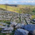 Limestone pavement view