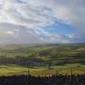 Limestone pavement view