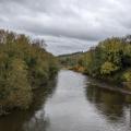 Picture of trees along the canal